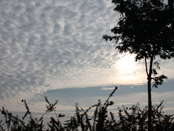 2011-11-07 韶关行